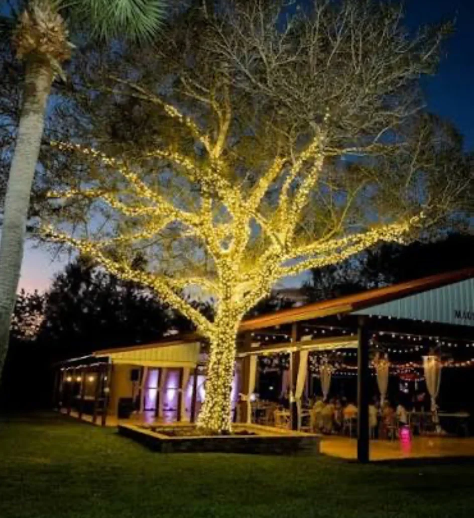 Illuminated tree with warm white lights at outdoor event venue at dusk